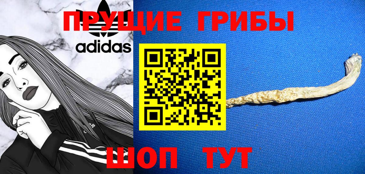 Галлюциногенные грибы Psilocybine cubensis  Галлюциногенные грибы ЛСД  Тула  Вход с VPN 
